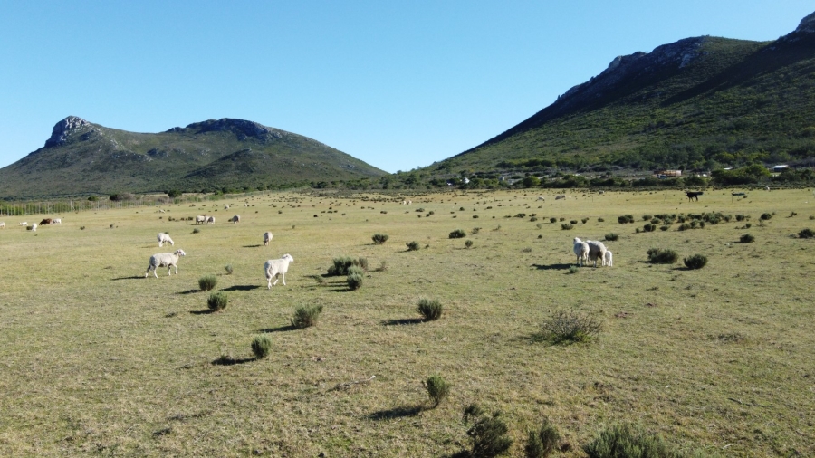 2 Bedroom Property for Sale in Gouritsmond Rural Western Cape